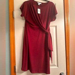 NWT Dress